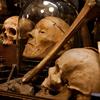 Human skull and bones at Obscura Antiques & Oddities